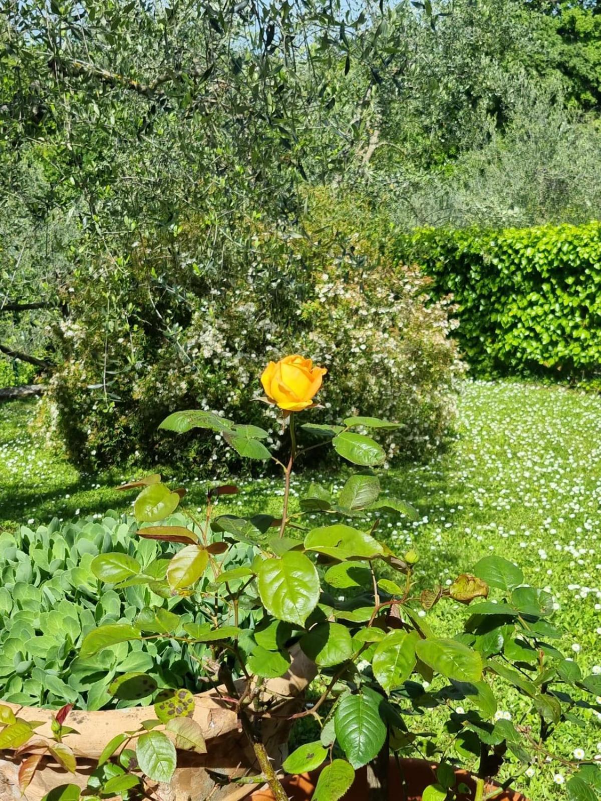 Hostal Dimora Nel Chianti San Sano Exterior foto