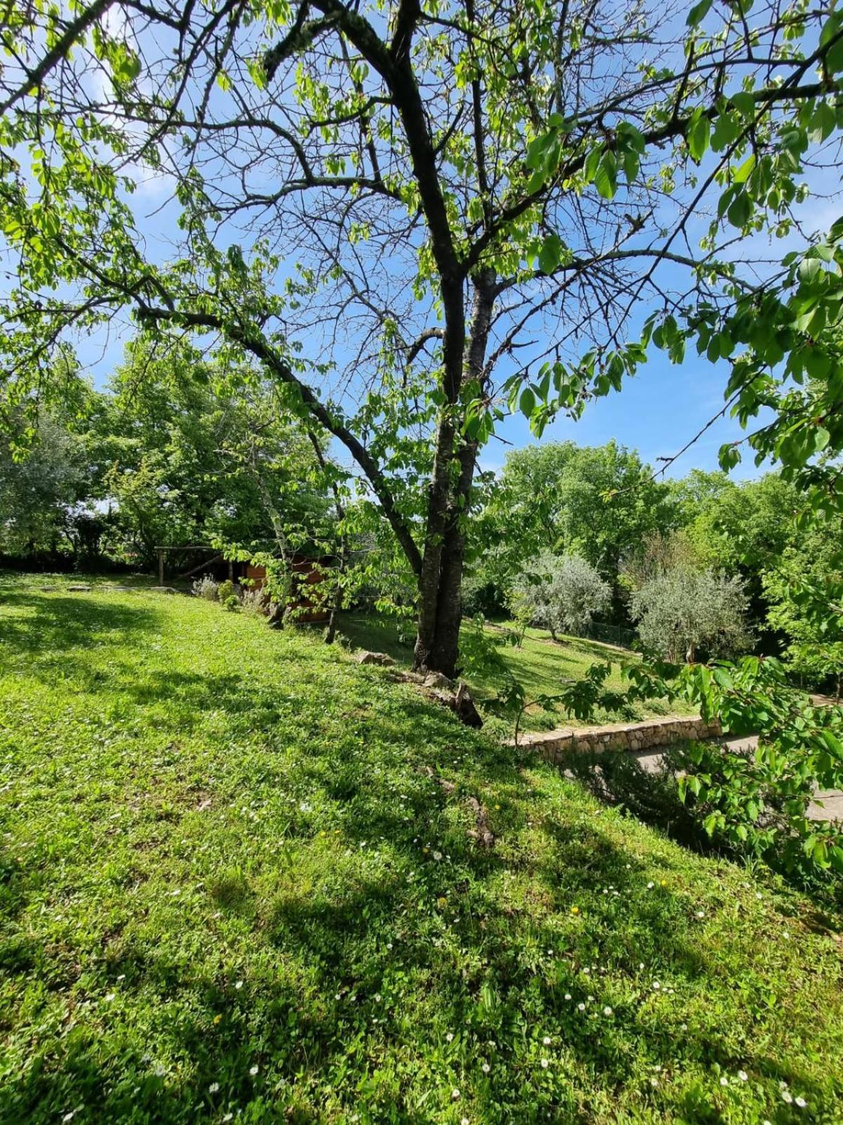 Hostal Dimora Nel Chianti San Sano Exterior foto